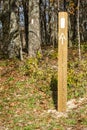 White Blazes on the Appalachian Trail