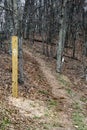 White Blazes on the Appalachian Trail Royalty Free Stock Photo