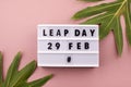 White block calendar present date 29 and month February and plant on pink background. Leap day Royalty Free Stock Photo