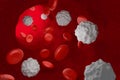 White Blood Cells in Vein, 3D Rendering
