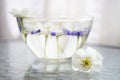 White blooming flowers and purple flower seeds in a glass bowl with water on a glass table Royalty Free Stock Photo