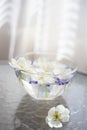 White blooming flowers and purple seeds in a glass bowl with water on a glass table Royalty Free Stock Photo