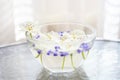 White blooming spring flowers and purple seeds in a glass bowl with water on a glass table Royalty Free Stock Photo