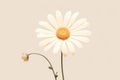 White blossom daisy flora summer beauty yellow petal flower plant nature spring Royalty Free Stock Photo