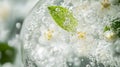 White Blossoms and a Leaf Submerged in Water with Bubbles Royalty Free Stock Photo