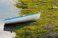 A white blue boat in the water.Boat in lake in nature.Nature