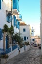 White-blue city of Sidi Bou Said, Tunisia