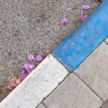 White and blue colored curbstone on the Israeli street which indicates a paid parking