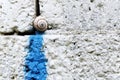 White and blue granite wall background with a snail stuck between the bricks Royalty Free Stock Photo