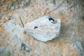 White and blue mineral background with rock flint
