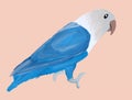 This is a white and blue parakeet