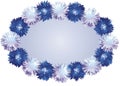 White Blue Pompom Background