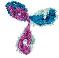 biology antibody White blue purple on white background