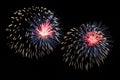 White, blue and red fireworks display on dark sky Royalty Free Stock Photo