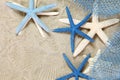 White and blue sea stars Royalty Free Stock Photo