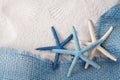 White and blue sea stars Royalty Free Stock Photo