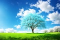 a white blue sky cloud tree. Royalty Free Stock Photo