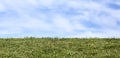 White blue sky with clouds and fresh green grass on background banner Royalty Free Stock Photo