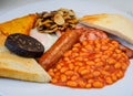 White board with full English breakfast with bacon, fried egg, beans, tomato, roasted sausage, black pudding, scons, hash browns Royalty Free Stock Photo