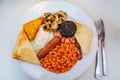 White board with full English breakfast with bacon, fried egg, beans, tomato, roasted sausage, black pudding, scons, hash browns Royalty Free Stock Photo