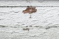 White board. Peeling paint. Highlighted. Repair needed Royalty Free Stock Photo