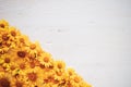 White Board vintage background with yellow flowers