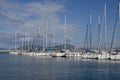 White boats in Alghero harbor