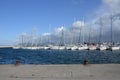 White boats in Alghero harbor