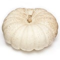 White boer pumpkin