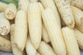 White Boiled corn texture background