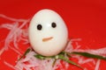 White boiled eggs decorated as snowman with ricer chilli and reddish