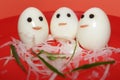 White boiled eggs decorated with ricer chilli and reddish