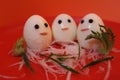 White boiled eggs decorated with ricer chilli and reddish