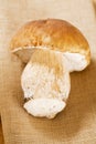 White boletus mushrooms on hessian nupkin