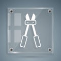 White Bolt cutter icon isolated on grey background. Scissors for reinforcement bars tool. Square glass panels. Vector Royalty Free Stock Photo