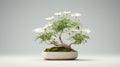 White Bonsai Plants: Ultra Realistic 3d Rendering For Minimalist Desktop Wallpaper