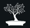 White Bonsai Tree. Vector Illustration
