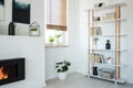 White bookcase, fireplace and window with plants set in a modern living room interior Royalty Free Stock Photo