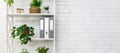 White bookshelf with plants and folders over wall Royalty Free Stock Photo