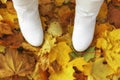 White boots on a background of a fall autumn yellow maple leaves. Royalty Free Stock Photo