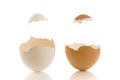 White and borwn eggs with hat Royalty Free Stock Photo