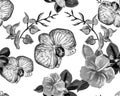 White Botanical Backdrop. Black Orchid Illustration. Hibiscus Print. Flower Backdrop. Watercolor Wallpaper. Seamless Backdrop. Pat