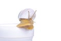 White bottle cream with snail