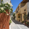 The white bougainvillea, the colorful houses, the lanterns and the many planters characterize the cozy alleys in the old town of R