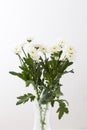 White bouquet Royalty Free Stock Photo