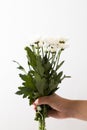 White bouquet Royalty Free Stock Photo