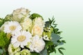 White bouquet of fresh flowers on green background. Royalty Free Stock Photo