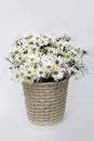 White bouquet roses in basket