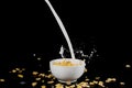 Bowl with cornflakes with milk stream Royalty Free Stock Photo