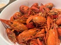 bowl of cooked red crawfish, ready to eat.. NEw Orleans cuisine Royalty Free Stock Photo